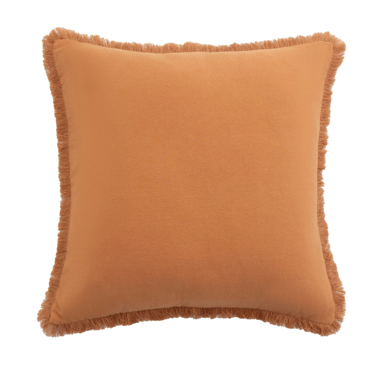 Neat Valley Fringed Cotton Pillow Cover additional product photo